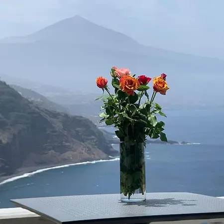 Daire Cliffhanger Spectacular View Over North Coast